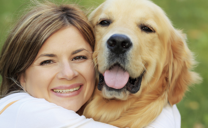 Alles over de hond Alles over de hond