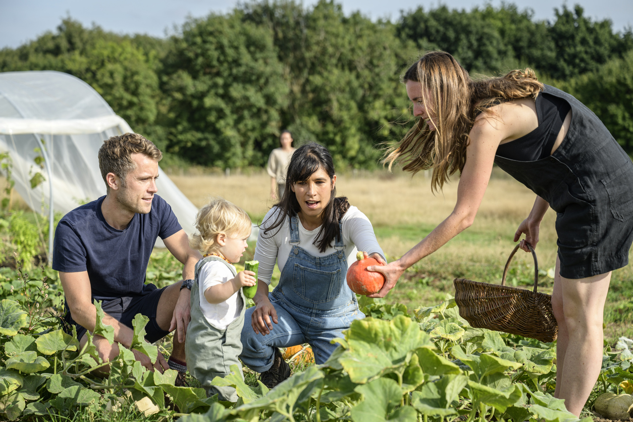 permaculuur moestuinieren staat voor delen met anderen
