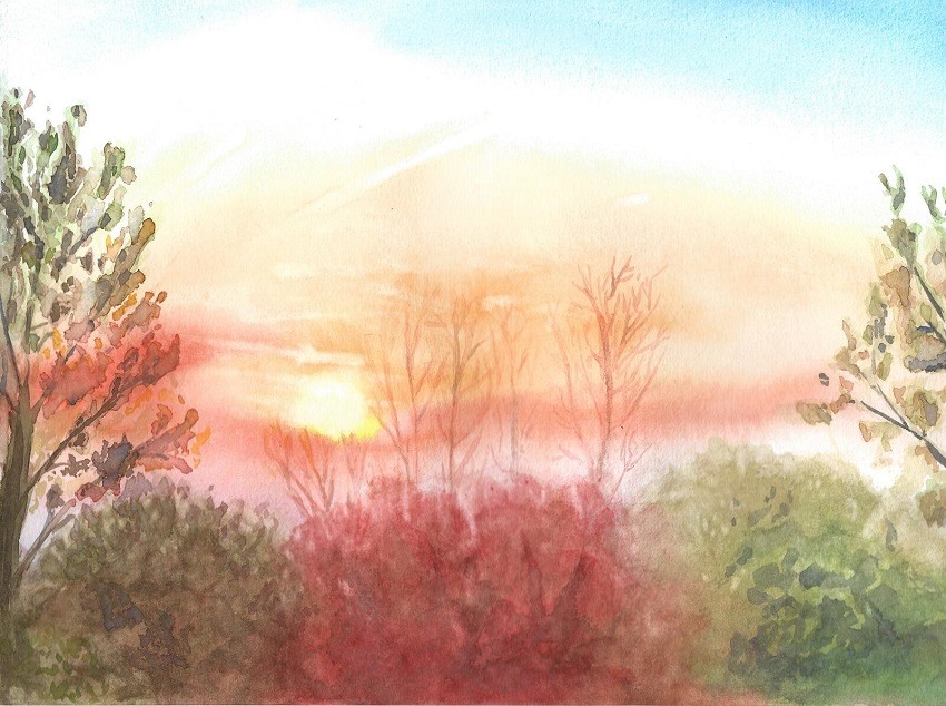 senioren cursus ouderen aquarel